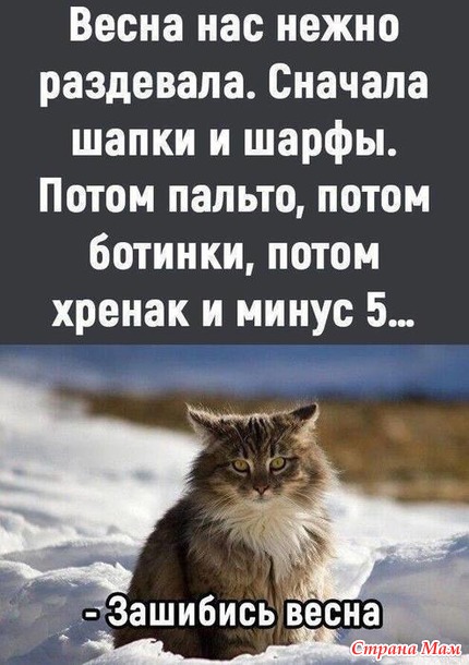 3416556_27862976_16745nothumb650 (430x610, 77Kb)