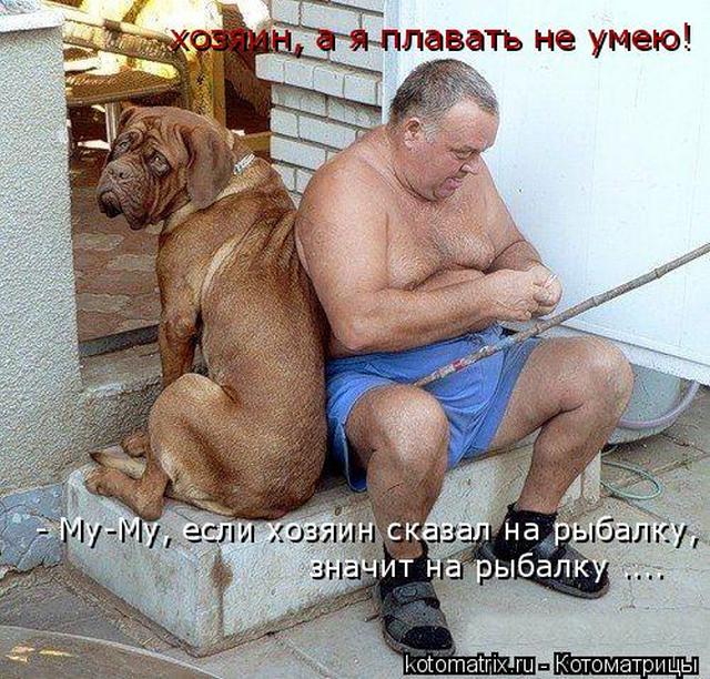4743317_CZ (640x612, 100Kb)
