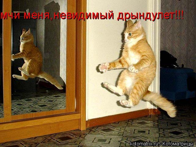 4743317_2E (640x480, 63Kb)