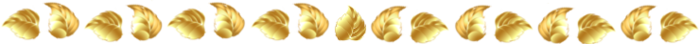 zokr29 (700x44, 54Kb)