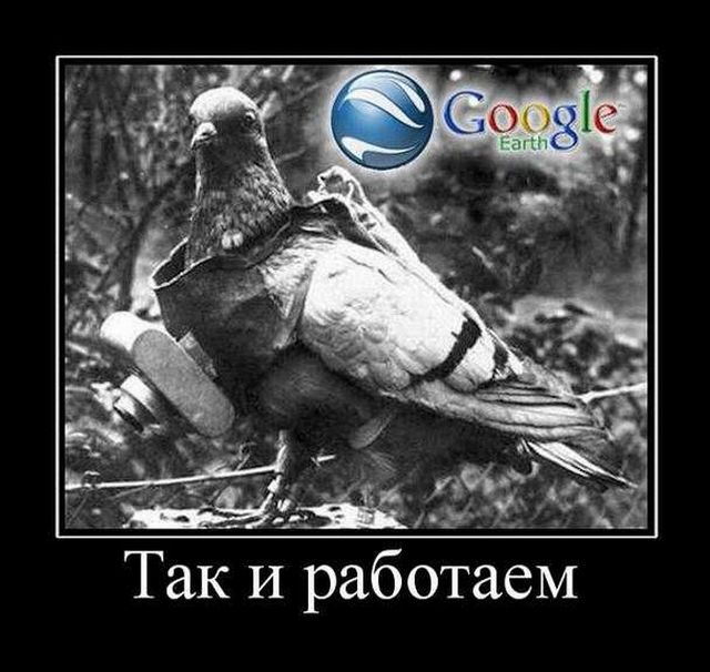 4743317_demotivatory_09 (640x606, 63Kb)