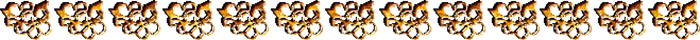 zok1 (700x40, 76Kb)