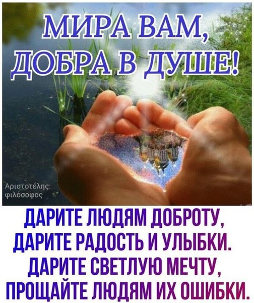    (504x600, 99Kb)