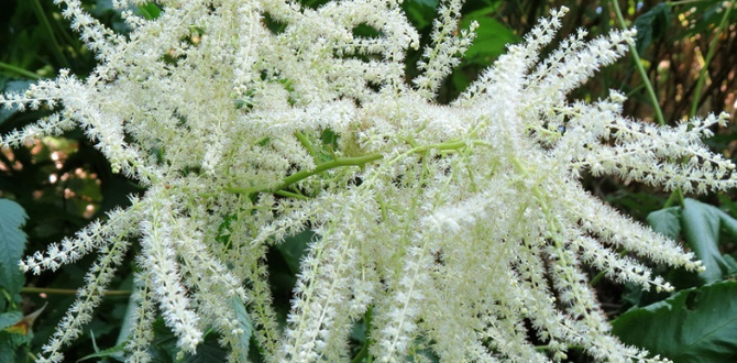10-06 (670x330, 319Kb)