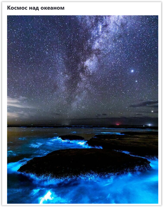 Screen Shot 05-04-25 at 05.06 AM (549x700, 598Kb)