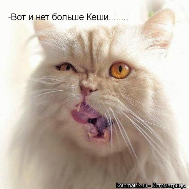 4743317_q (640x640, 43Kb)