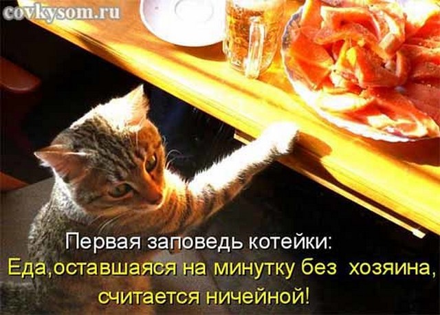 4743317_i24614 (640x458, 78Kb)