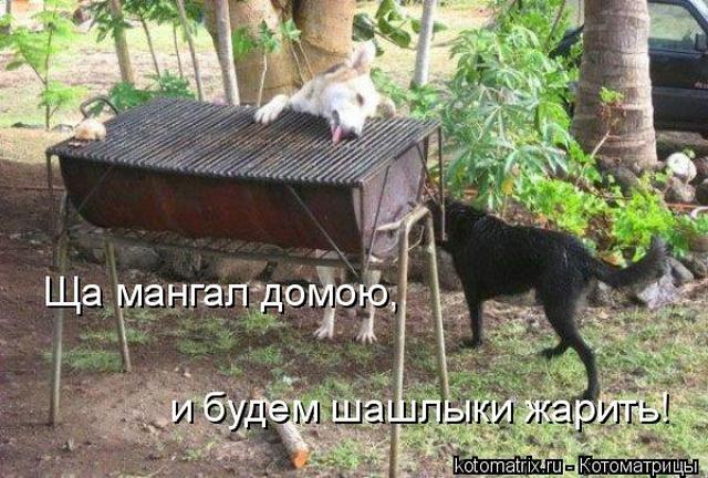 4743317_lj (640x432, 70Kb)