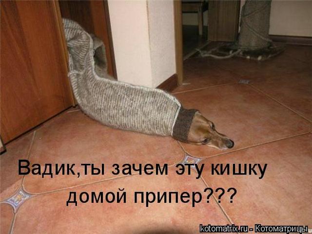 4743317_kg (640x480, 42Kb)