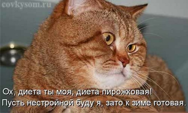 4743317_i24611 (640x384, 60Kb)