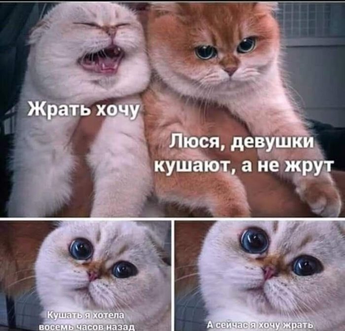 (700x672, 71Kb)