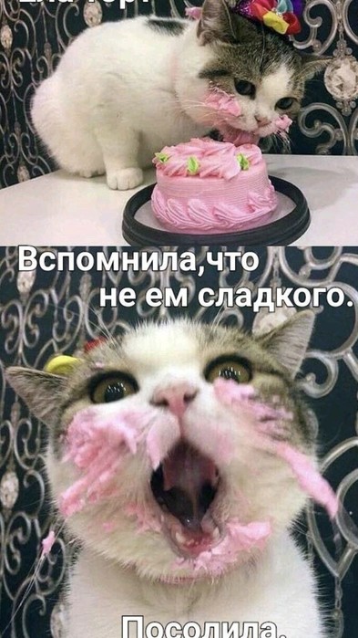 (393x700, 86Kb)