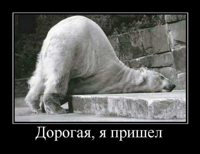 4743317_demotivatory_04 (640x495, 42Kb)
