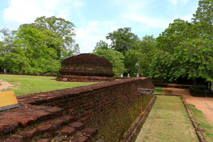 IMG_1798 (700x466, 543Kb)