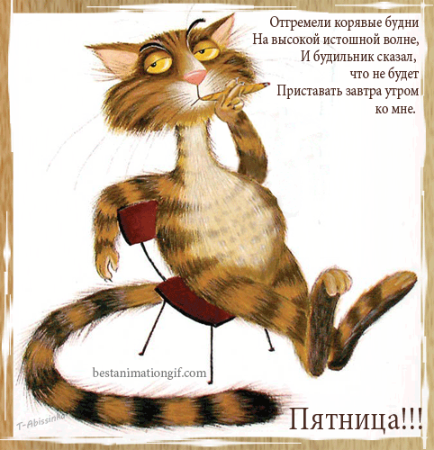 4743317_i24606 (482x500, 328Kb)