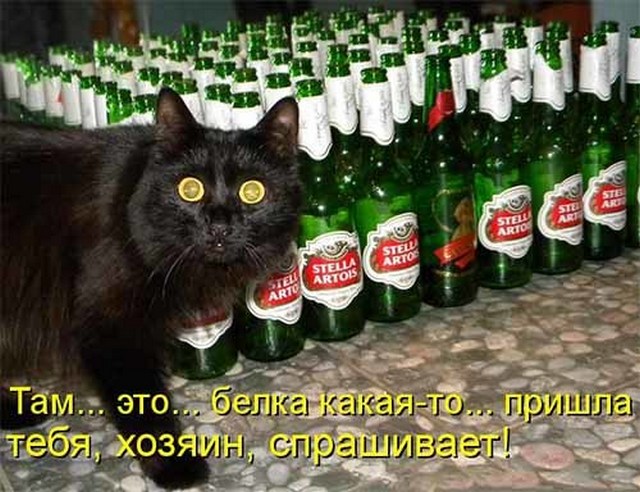 4743317_i24695 (640x492, 95Kb)