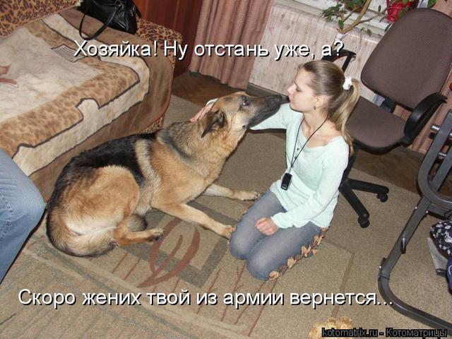 4743317_g_ (640x480, 60Kb)