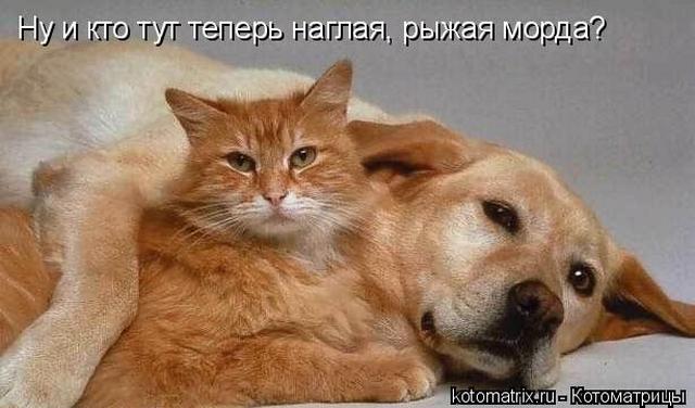 4743317_GA (640x376, 39Kb)