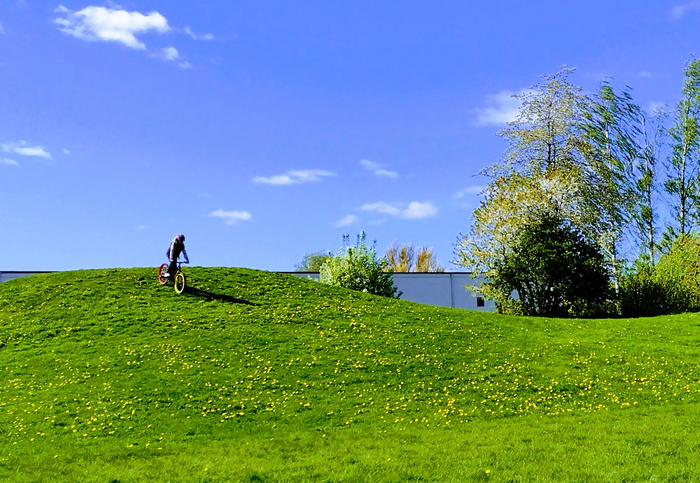 IMG_20250502_143356669 (700x483, 475Kb)