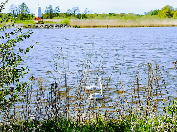 IMG_20250505_132705316 (700x525, 590Kb)