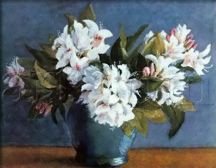 Rhododendrons ++ (700x546, 126Kb)