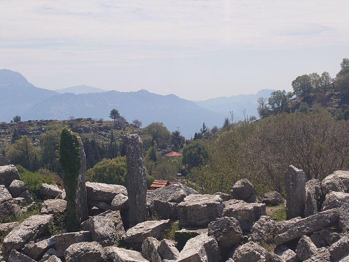 20250506_114747 (700x525, 419Kb)