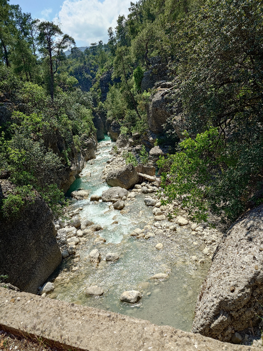 20250506_143518 (525x700, 617Kb)