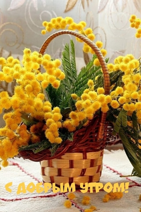 4743317_image20200328 (465x700, 257Kb)