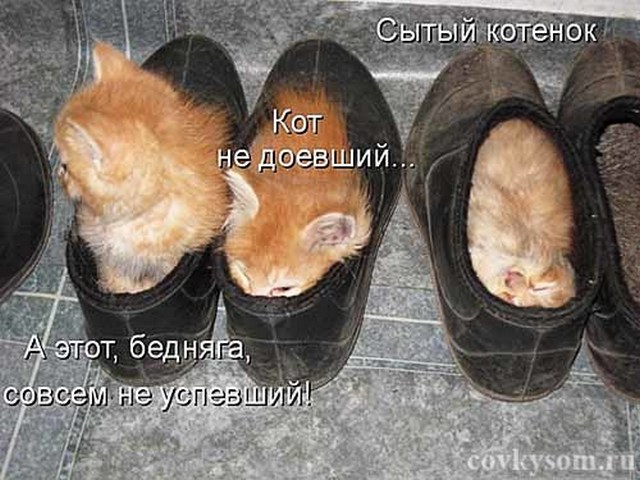 4743317_i24693 (640x480, 87Kb)