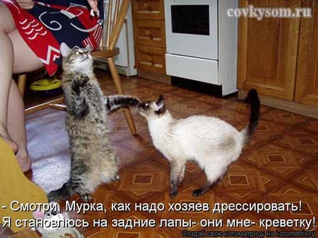 4743317_i24690 (640x480, 81Kb)
