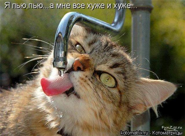 4743317_u_ (640x472, 56Kb)