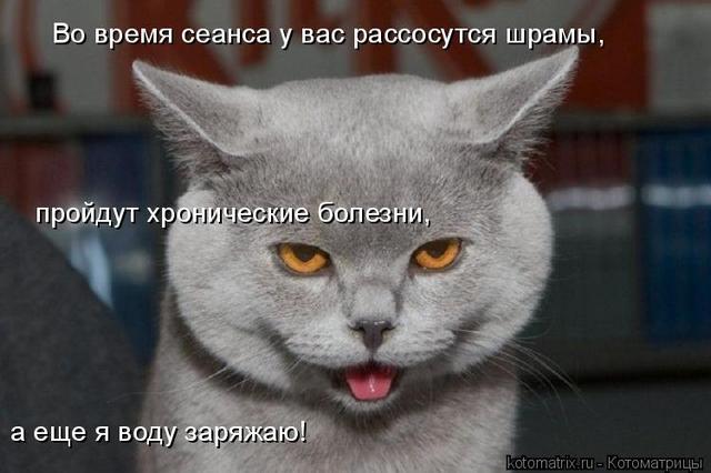 4743317_DM (640x426, 38Kb)