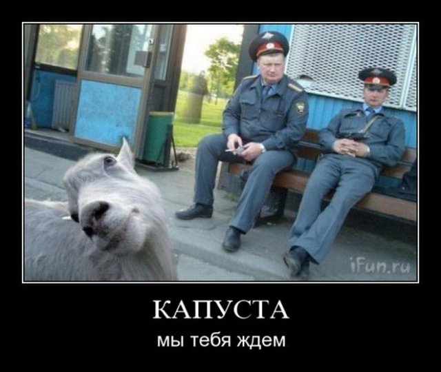 4743317_1256041667_143 (640x540, 51Kb)