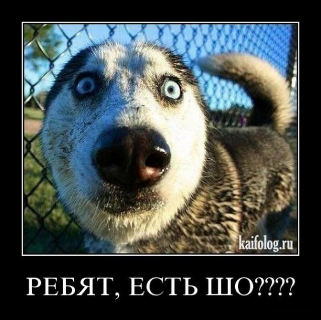 4743317_1256041679_145 (640x637, 69Kb)