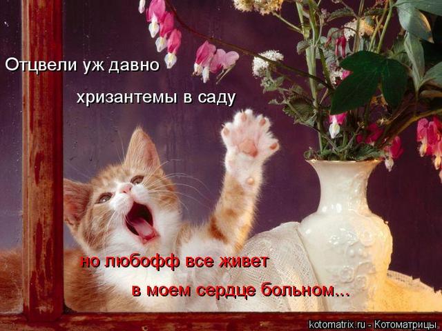 4743317_Ad (640x480, 56Kb)