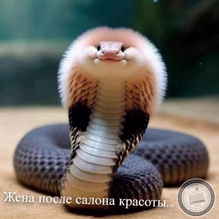 ZhenaPosleSalonaKrasoty-28.04.2025+ (700x700, 90Kb)