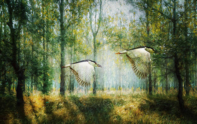 magical-forests-impressionism-georgiana-romanovna (634x400, 250Kb)