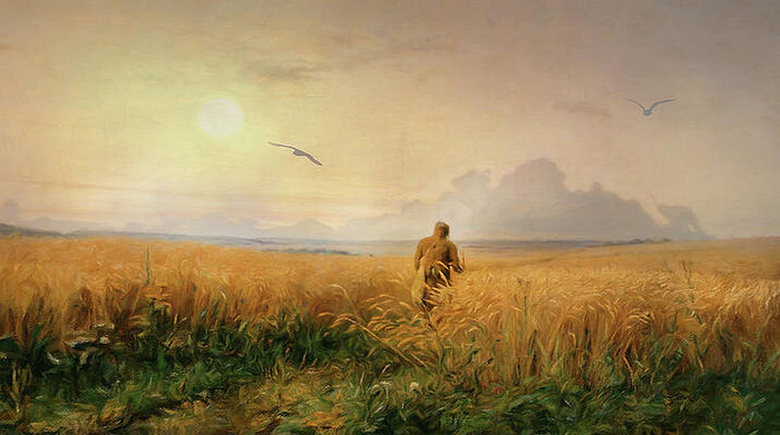 summer-morning-in-the-rye-field-georgiana-romanovna (700x391, 270Kb)