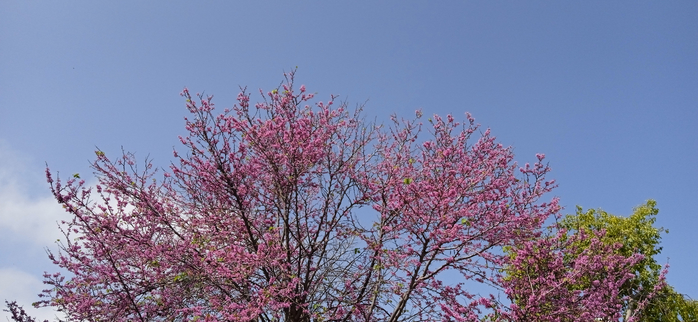 1717153633942 (700x322, 280Kb)