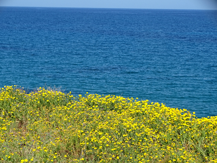 DSC00054 (700x525, 587Kb)