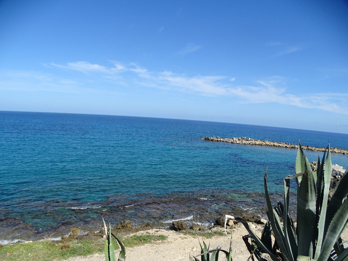 DSC00062 (700x525, 379Kb)