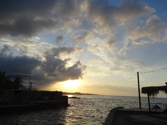 DSC00135 (700x525, 341Kb)