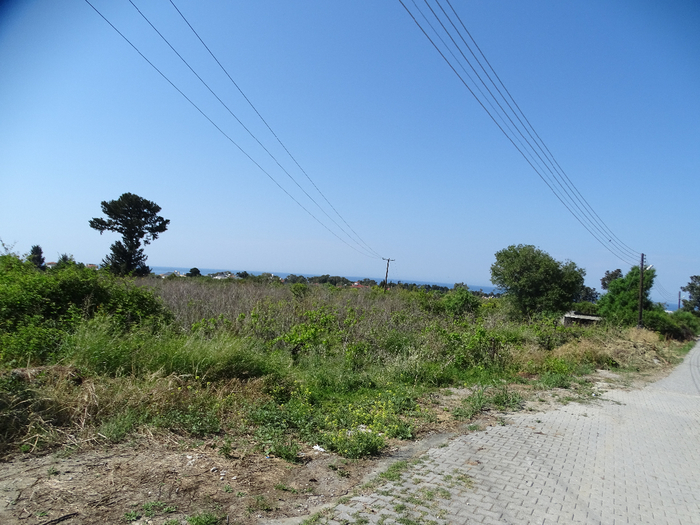 DSC00020 (700x525, 412Kb)