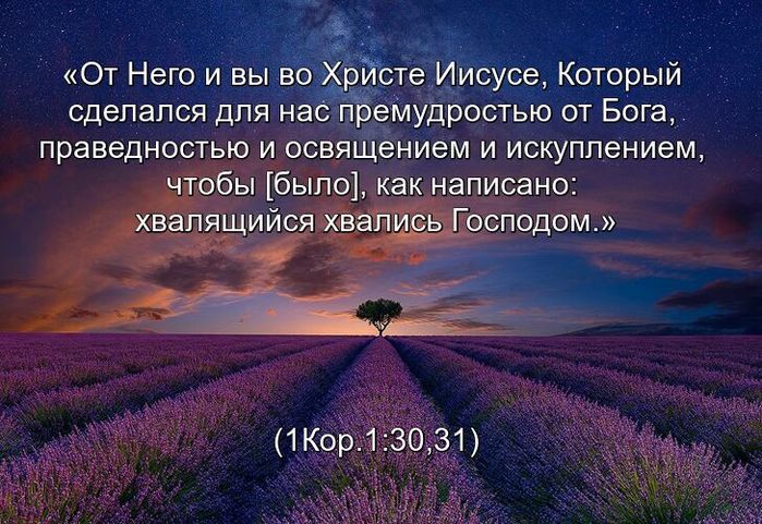 b1ZHBlgzH49Q (700x481, 93Kb)