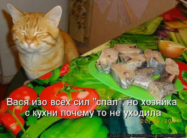 4743317_i24762 (640x472, 120Kb)