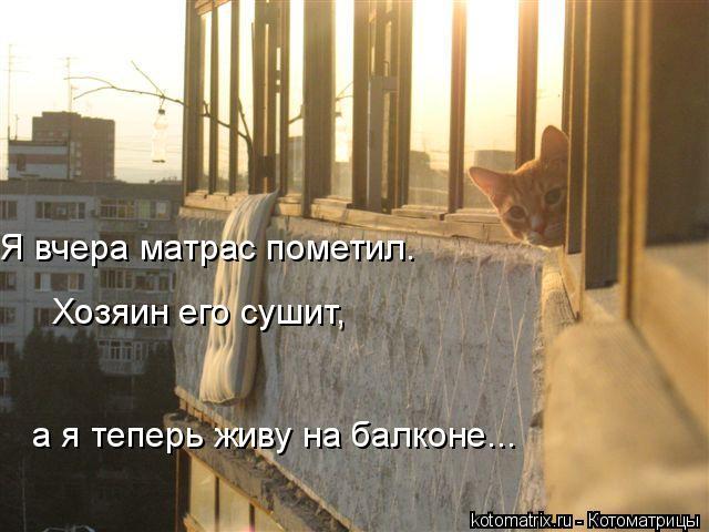 4743317_Mk (640x480, 49Kb)