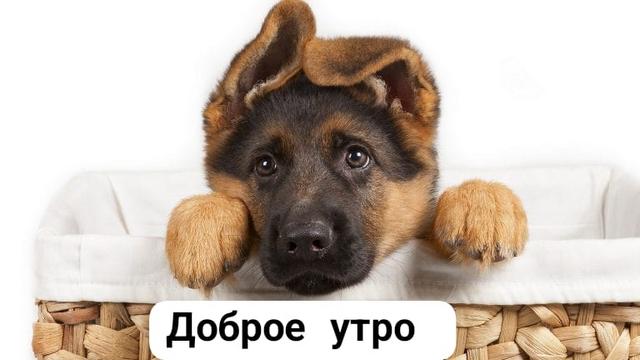 4743317_IMG20231019WA0005 (640x360, 27Kb)