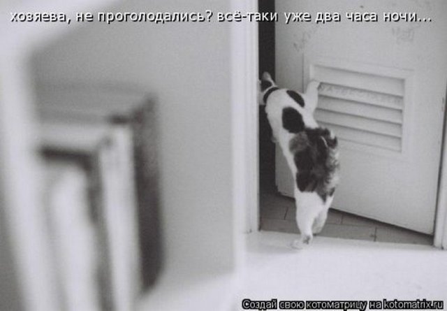 4743317_i24758 (640x445, 33Kb)