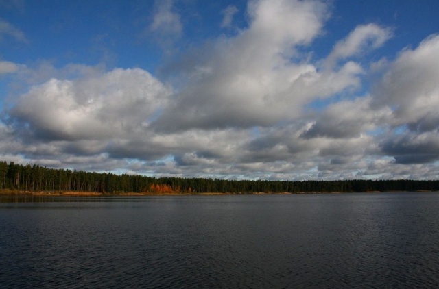 4743317_medium59536 (640x422, 71Kb)