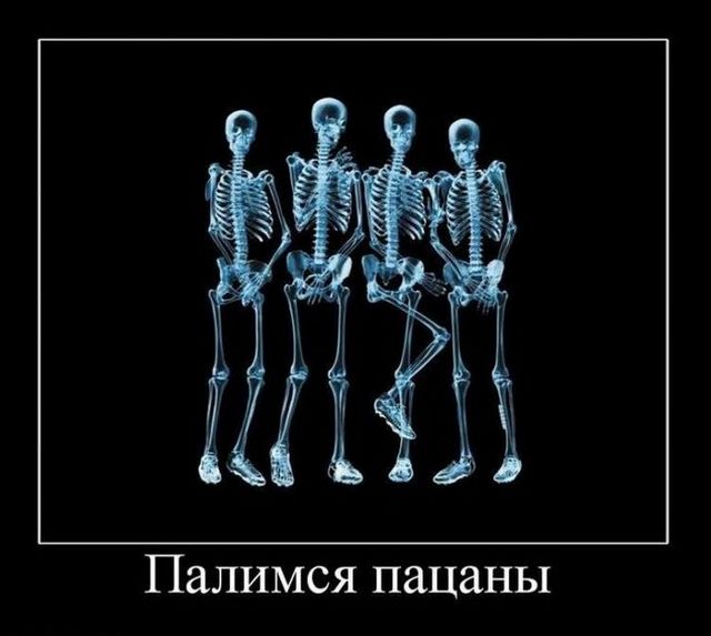 4743317_demotivatory_09 (640x573, 42Kb)